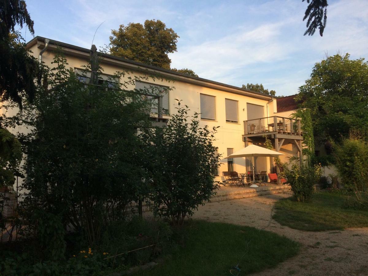 Kranichhof - Studio, Loft & Atelier 佐森 外观 照片