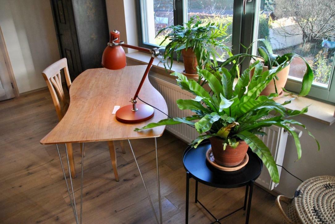 Kranichhof - Studio, Loft & Atelier 佐森 外观 照片